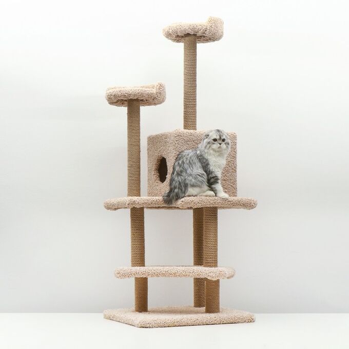 Комплекс для кошек &quot;Лестница&quot;, 56 X 52 X 140 см, ковролин, джут, микс цветов