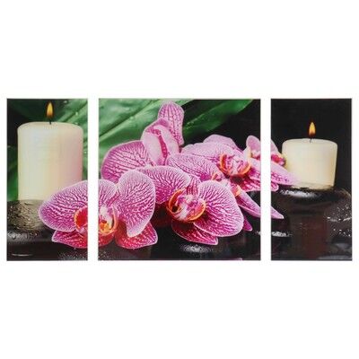 Картина модульная на стекле &quot;Орхидея со свечой&quot; 2-25*50, 1-50*50 см, 100*50см