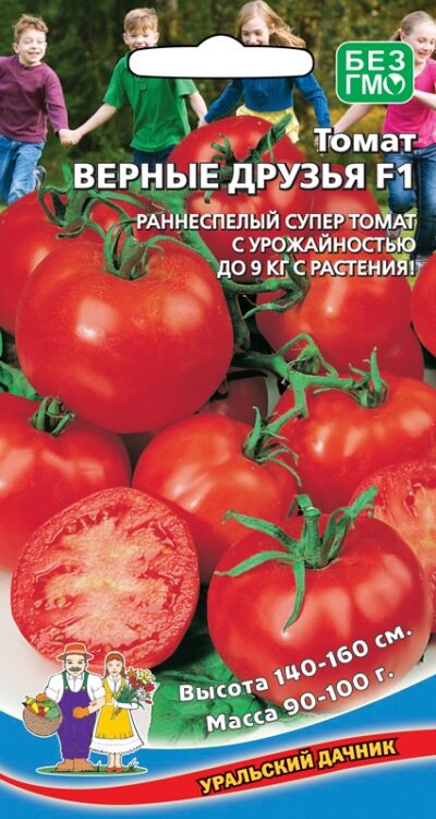 Томат Мишка Косолапый Отзывы Фото Урожайность