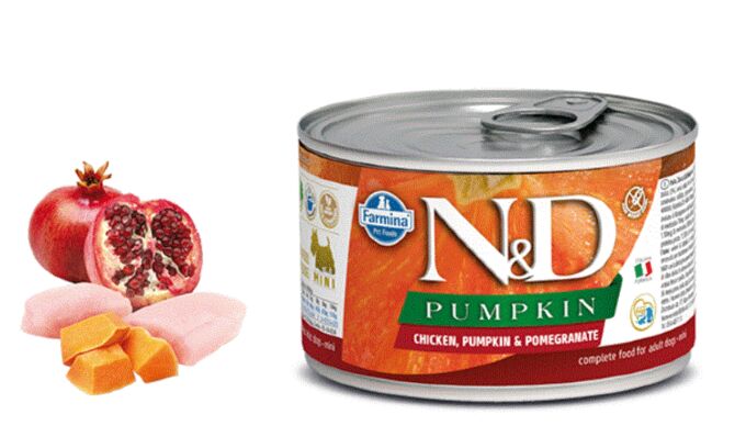 Корм для собак с тыквой. Фармина для щенков мелких пород с тыквой. Петвадор корм. Фармина для собак ягненок с черникой и тыквой. Корм для собак с тыквой.