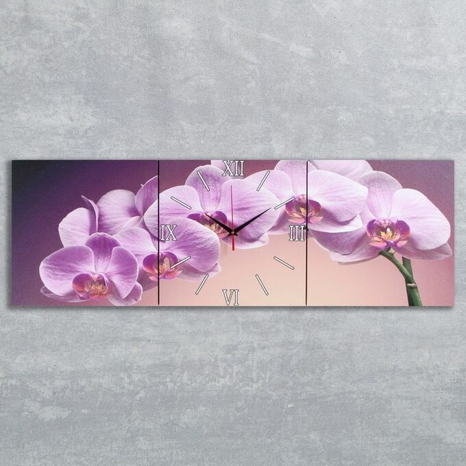 Часы настенные, модульные, серия: Цветы, &quot;Фиолетовые орхидеи&quot;, 35х110  см, микс