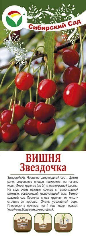 Вишня звездочка описание фото отзывы