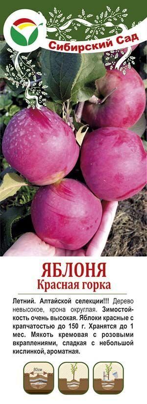 Горка яблоня фото