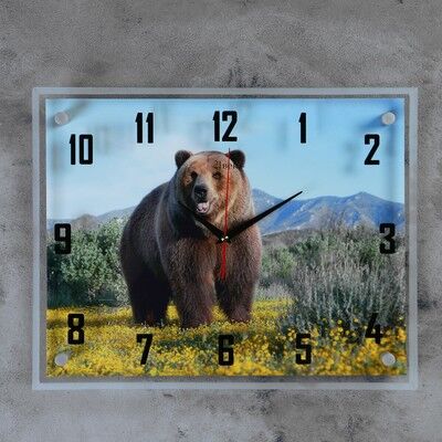 Часы настенные, серия: Животный мир, &quot;Медведь&quot;, 35х45 см