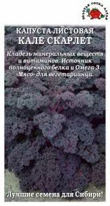 Золотая сотка Алтая Капуста листовая Кале Скарлет F1 ЦВ/П (СОТКА) 0,3гр позднеспелый