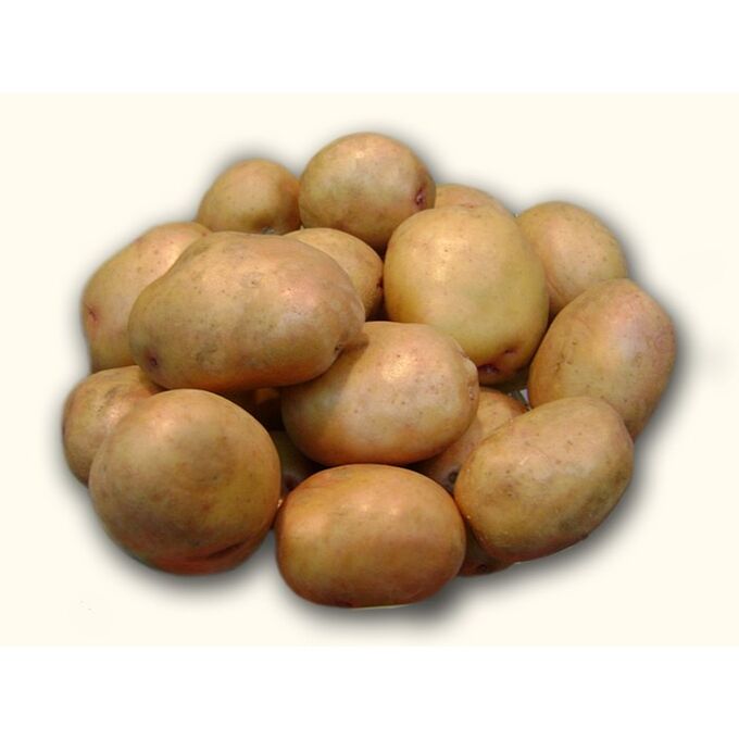 Жуковский ранний картофель цветение