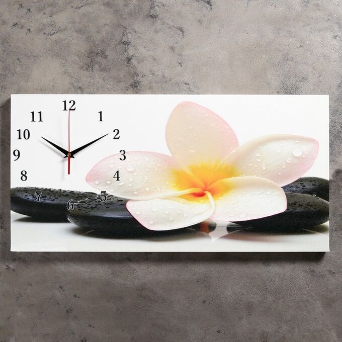 Часы настенные, на холсте, серия: Цветы, &quot;Белый цветок на камнях&quot;, 40х76  см, в ассортименте