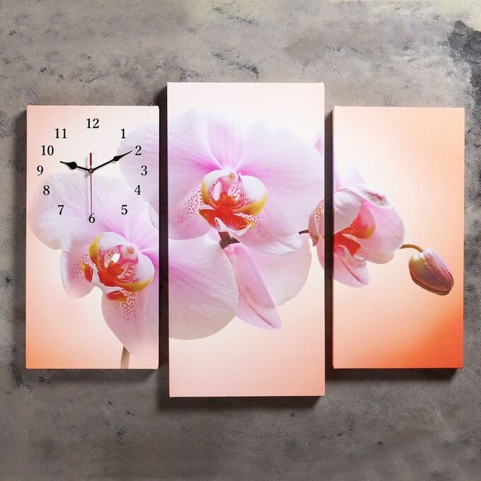 Часы настенные, модульные, серия: Цветы, &quot;Розовая орхидея&quot;, 60х80 см