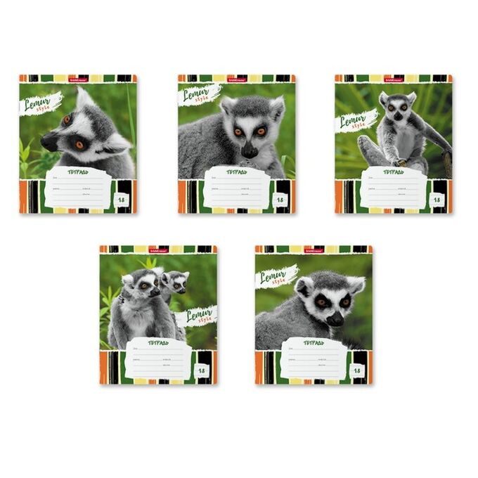 ERICH KRAUSE Тетрадь 18 листов в линейку ErichKrause Lemur Style, обложка мелованный картон, блок офсет, МИКС