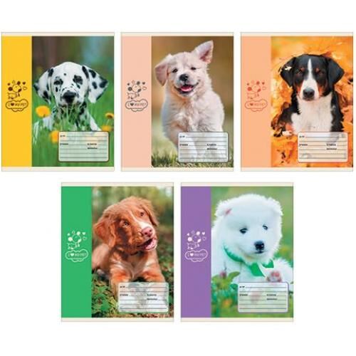 тетрадки с собачками. тетрадь с собакой. тетрадь artspace 12 листов. тетрадь с собакой 48 листов. тетрадь с собакой.