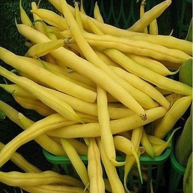 Золотая сакса овощная фасоль