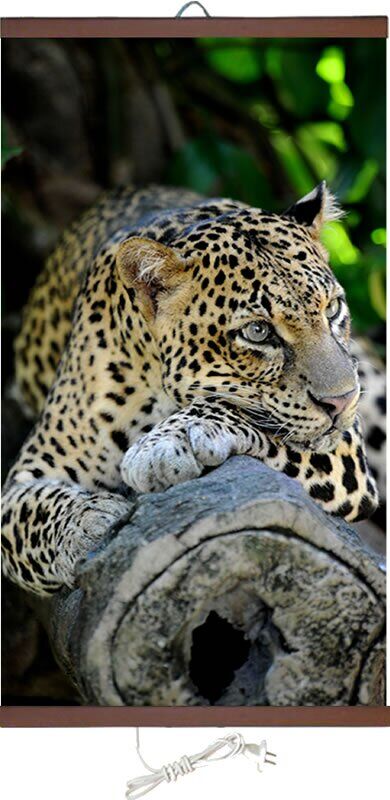Тепло Крыма Леопард