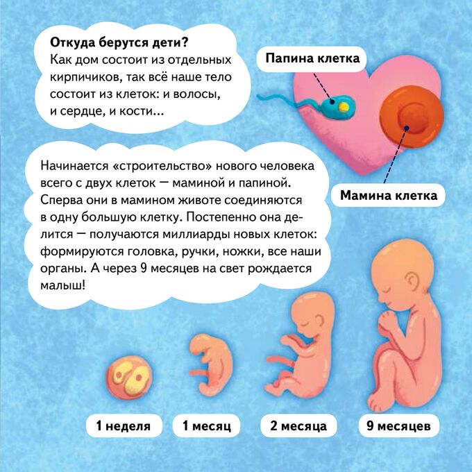 Психологическая безопасность дошкольника. Почему не чувствует ребенка. Ребенок не ощущает боль. Испытовать или испытывать и почему. Обесценивание в психологии.