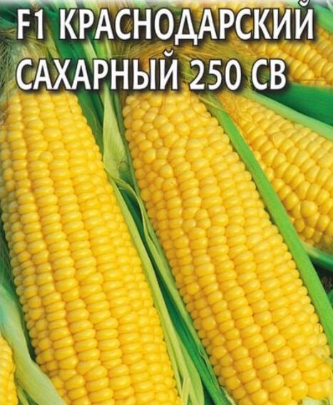 Кукуруза F1 Краснодарский сахарный 250 СВ