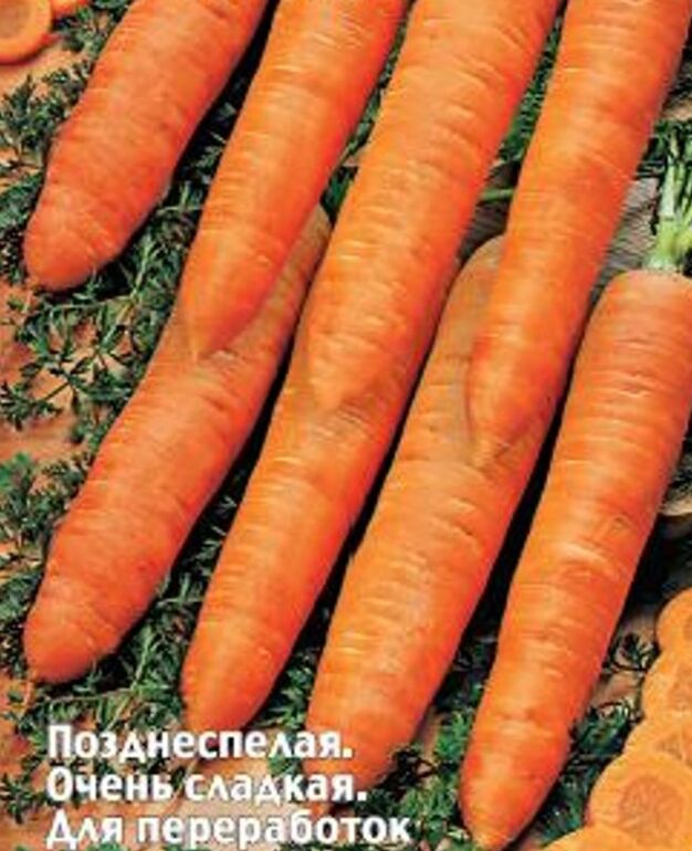 Морковь Каролина