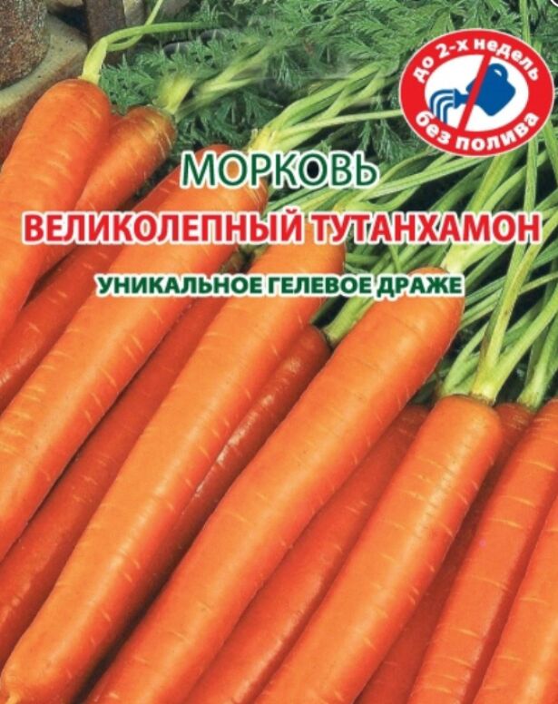 Морковь Великолепный Тутанхамон