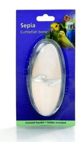 Панцирь каракатицы-камень для чистки клюва 12см