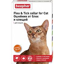 Beaphar Flea&amp;Tick Collar Ошейник от блох и клещей для кошек Оранжевый