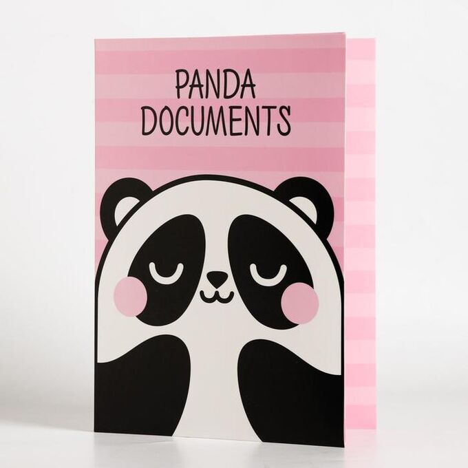 Папка для семейных документов «Panda documents», 12 файлов, 4 комплекта