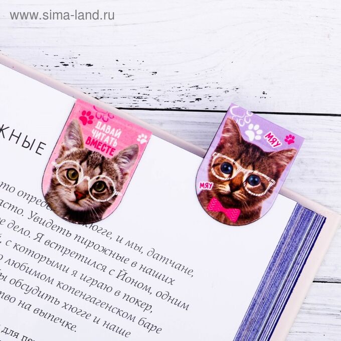 Art Fox Магнитные закладки на подложке &quot;&quot;Котики&quot;&quot;, 6 шт.