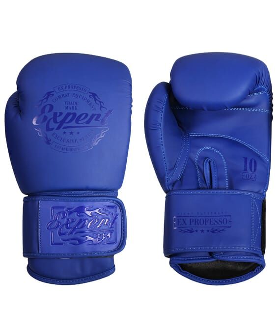 Перчатки боксерские FIGHT EXPERT BGS-V010, синий, 10 oz