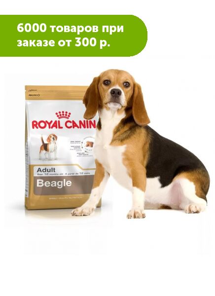 Диета для бигля. Корм для собак хиллс до 6 кг. Роял канин бигль паппи. Корм для собак. Корм для бигля щенка.