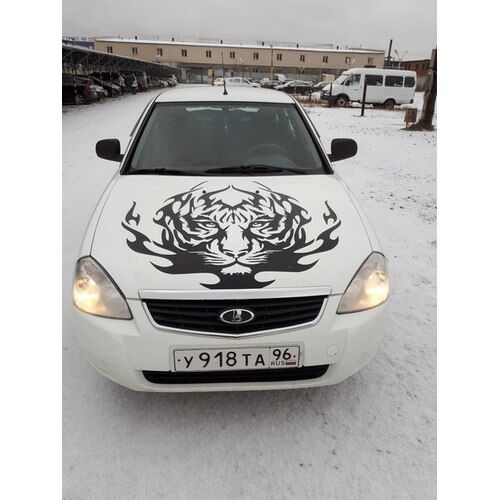 Наклейка тигра на машину
