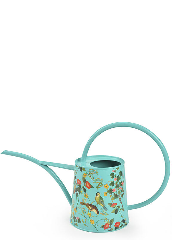 Лейка с длинным носиком. Лейка для цветов. Лейка 1/3 полипласт синяя. Лейка для цветов с длинным носиком металл. Burgon ball лейка.