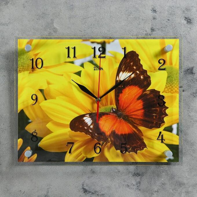 Часы настенные, серия: Животный мир, &quot;Бабочка на гербере&quot;, 30х40  см, микс