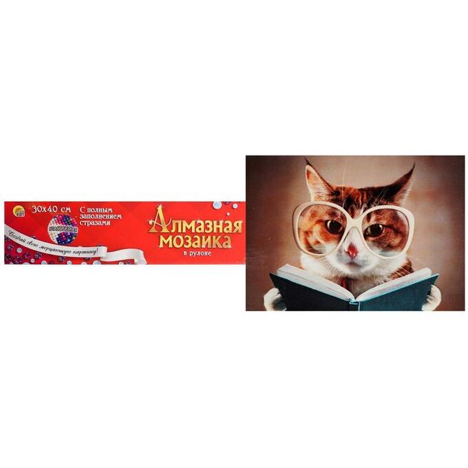 Рыжий кот Алмазная мозаика 30*40 см, классическая, полное заполнение, б/ подрамника, «Кот с книгой»