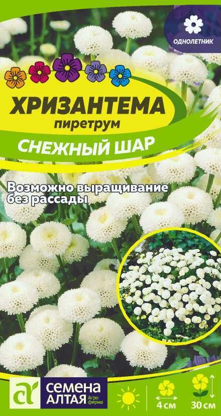 Цветы Хризантема Снежный шар пиретрум/Сем Алт/цп 0,01 гр.