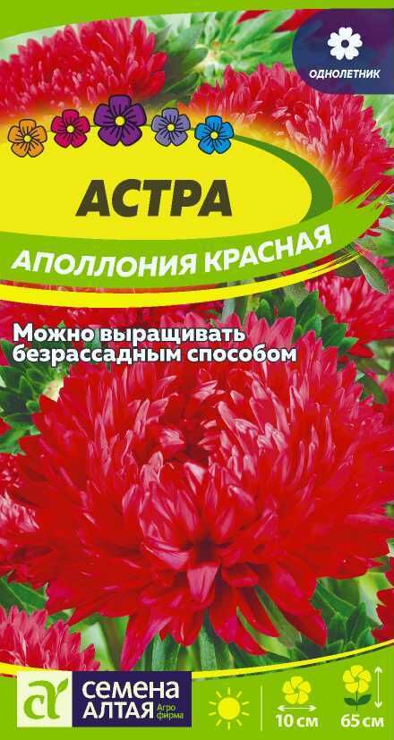 Семена Алтая Астра Аполлония Красная/Сем Алт/цп 0,2 гр.