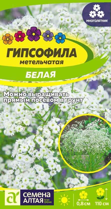 Семена Алтая Цветы Гипсофила Белая метельчатая 0,2 гр. многолетник