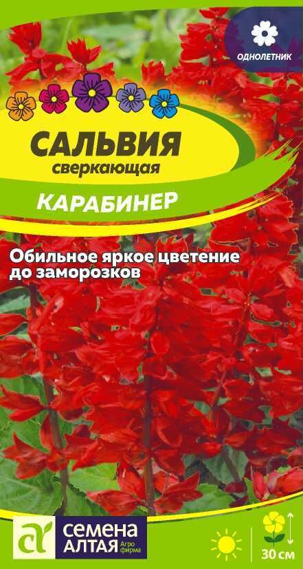 Цветы Сальвия Карабинер сверкающая/Сем Алт/цп 0,1 гр.