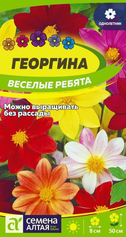 Семена Алтая Георгина Веселые Ребята/Сем Алт/цп 0,2 гр.