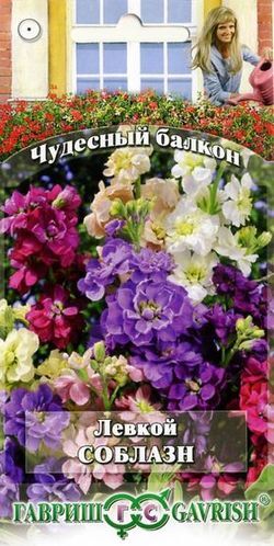 Семена Алтая Левкой Соблазн смесь/Гавриш/цп 0,1гр. Чудесный балкон