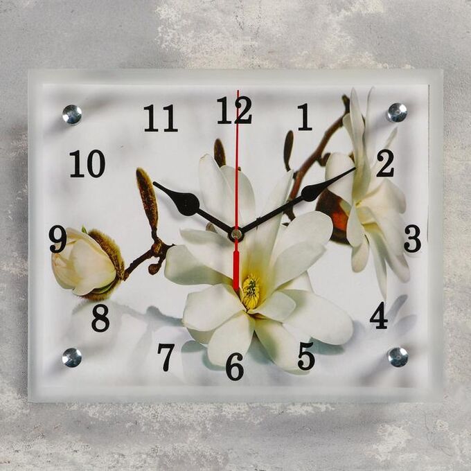 Часы настенные, серия: Цветы, &quot;Орхидея&quot;, 20х25  см, в ассортименте