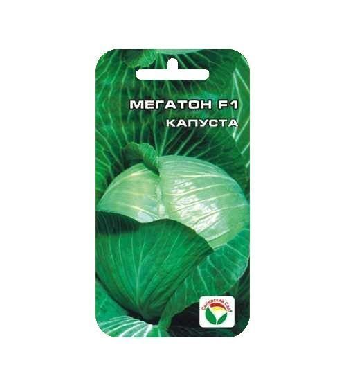 Капуста белокочанная мегатон f1. Семена капуста белокочанная мегатон f1 10 шт. Капуста мегатон когда убирать. Капуста мегатон описание. Сорт капусты мегатон.