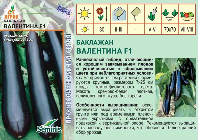 Баклажан валентина описание отзывы фото Баклажан"Валентина"F1 10шт* Seminis, Таиланд, ран Проверено Сибирью!. Семена ово