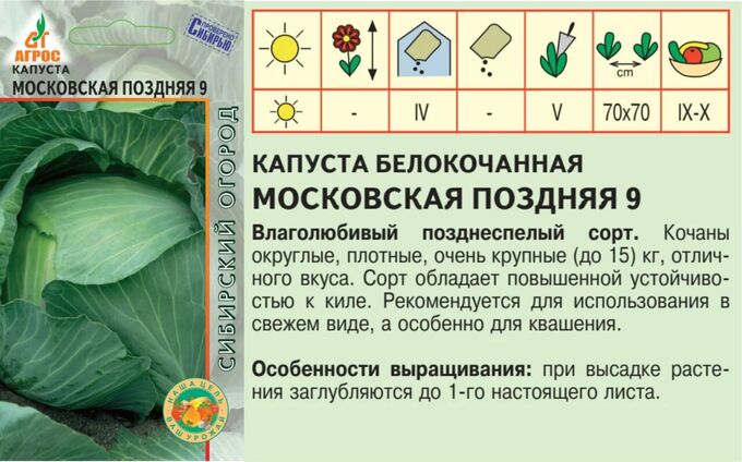 Капуста московская поздняя описание сорта фото Капуста б/к"Московская поздняя 9"0.3г*, Италия, позд Капуста. Семена овощей