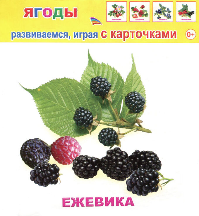 Издательство "ЛЕДА АЛФЕЯ СЛОВО" Ягоды