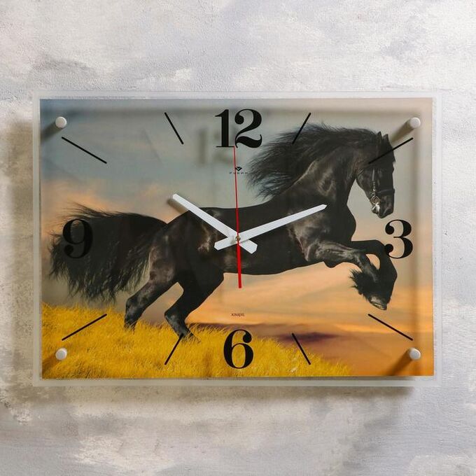 Часы настенные, серия: Животный мир, &quot;Чёрный конь&quot;, 40х56 см в ассортименте