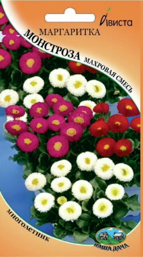 Цветы Маргаритка Монстроза махровая смесь ЦВ/П (АВИСТА) многолетнее до 15см