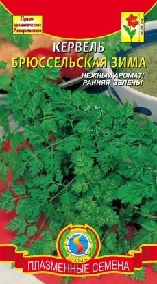 Пряность Кервель Брюссельская зима ЦВ/П (ПЛАЗМА)