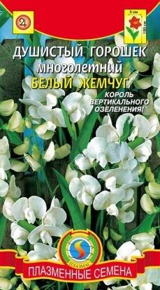 Цветы Горошек Душистый Белый жемчуг ЦВ/П (ПЛАЗМА) многолетнее до 1,8м