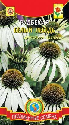 Цветы Рудбекия Белый Лебедь ЦВ/П (ПЛАЗМА)