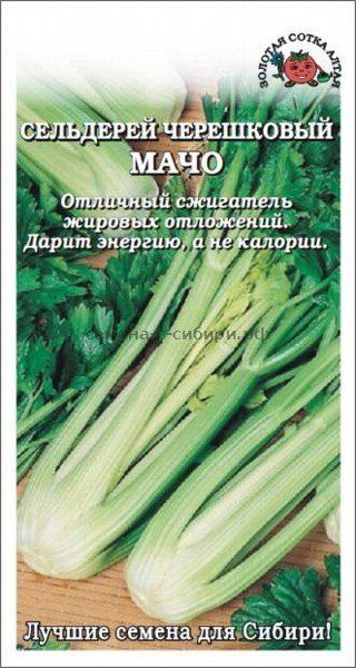 Золотая сотка Алтая Сельдерей черешковый Мачо ЦВ/П (СОТКА) 0,5гр позднеспелый