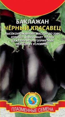 Баклажан Чёрный красавец ЦВ/П (ПЛАЗМА) 0,3гр среднеспелый