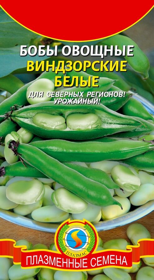 Бобы Виндзорские белые ЦВ/П (ПЛАЗМА) среднепоздний