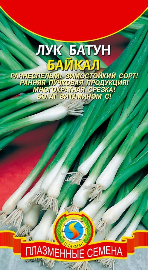 Лук Батун Байкал ЦВ/П (ПЛАЗМА) 0,5гр раннеспелый